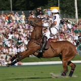 Photoscience - Polo and Wedding photographers in Hampshire Surrey and Sussex